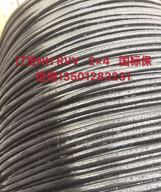 耐火线NHRVV-2*4