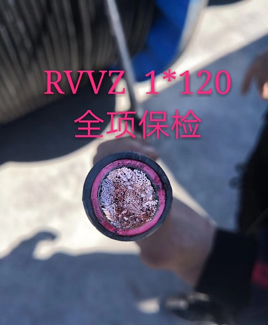 阻燃电缆·ZC-VVR-1*120
